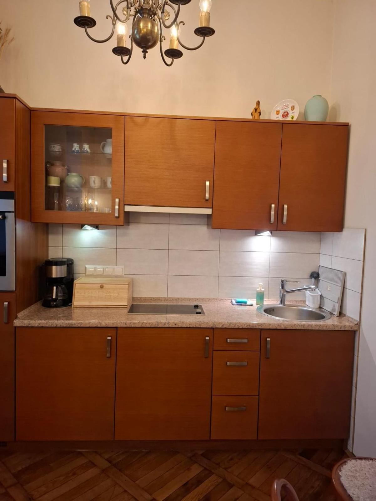 Old Old Style Wawelofts Apartament